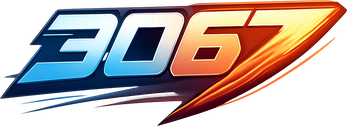 3067